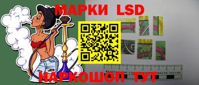 мет Кингисепп