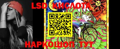 мет Кингисепп