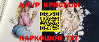 мет Кингисепп