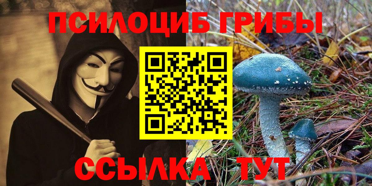 Псилоцибиновые грибы ЛСД Краснознаменск